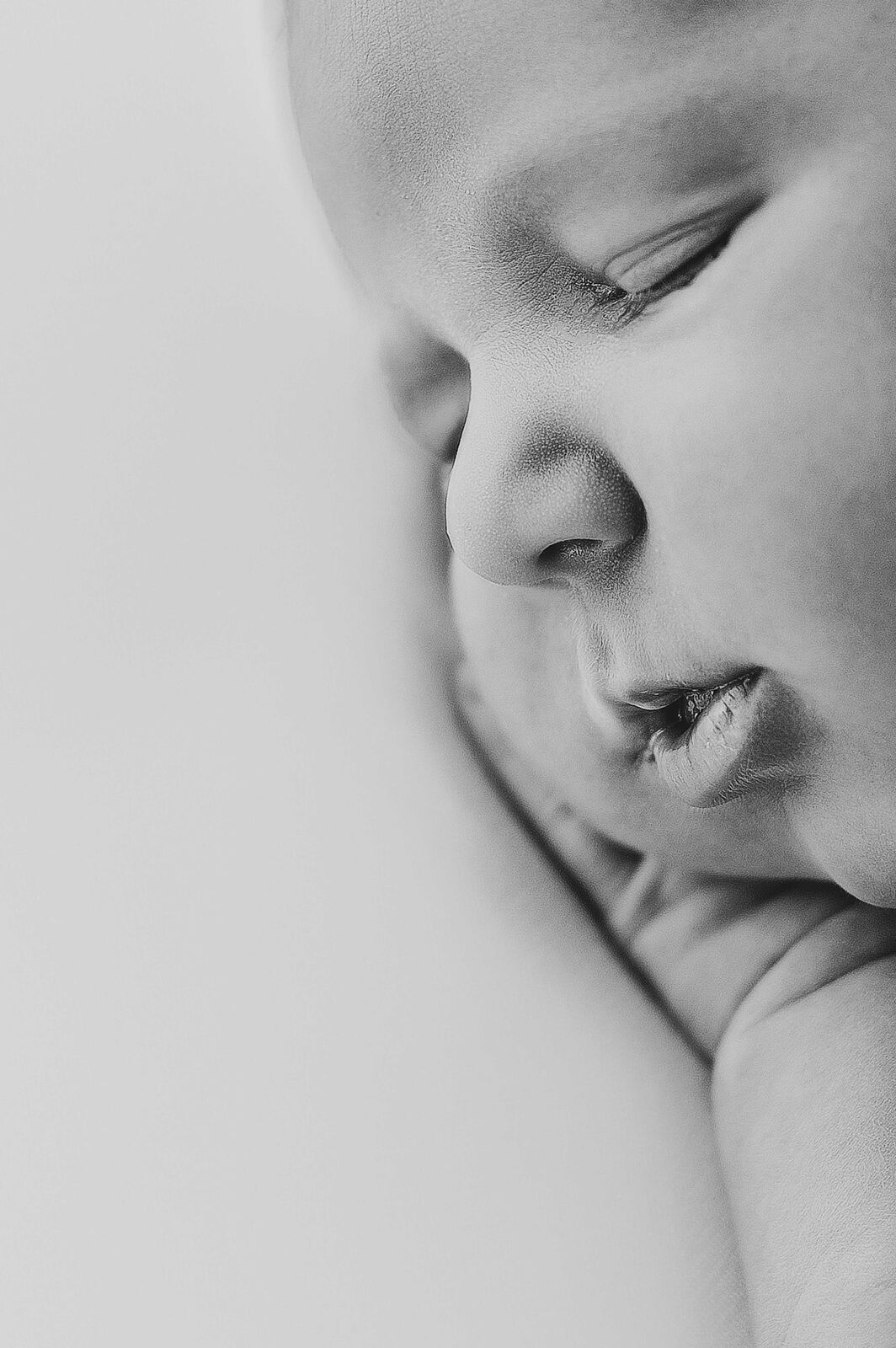 Behedi Photography - img_1569-copia-ts20260124121128421110.jpg