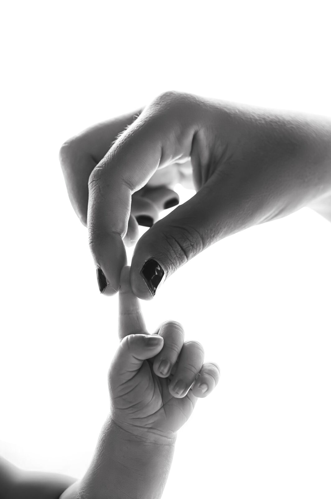 Behedi Photography - z6b-ts20251022171127148772.jpg