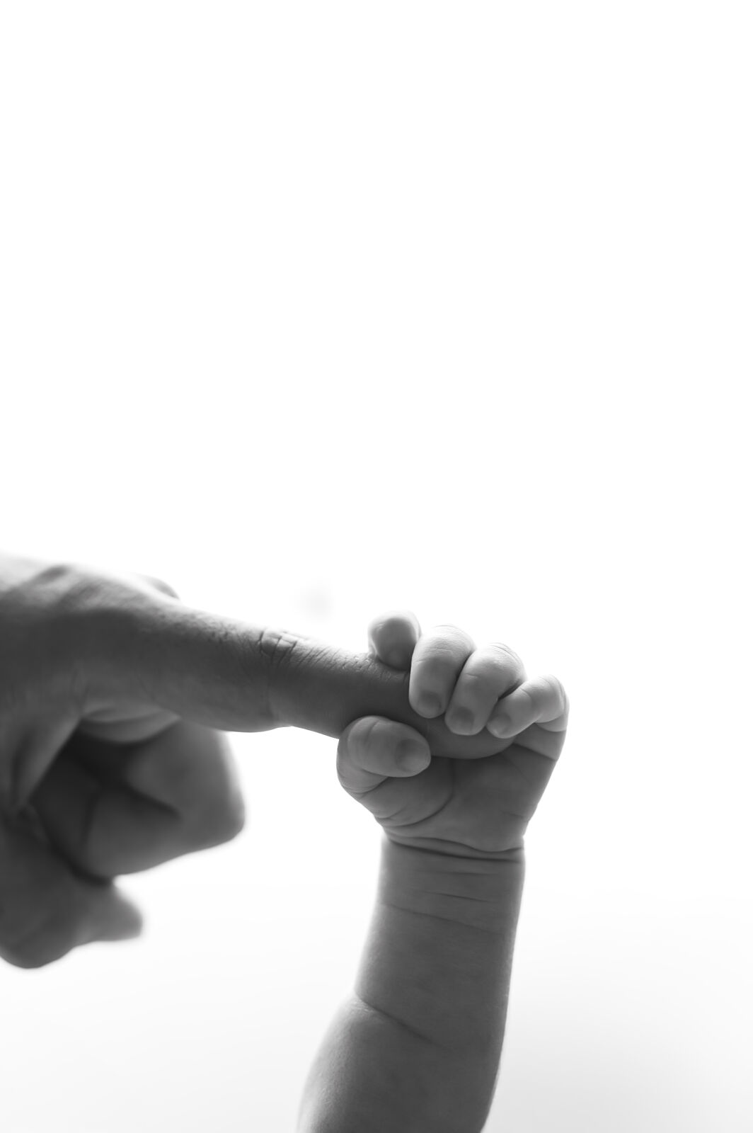 Behedi Photography - z6b_6792-copia-ts20251022171156914909.jpg