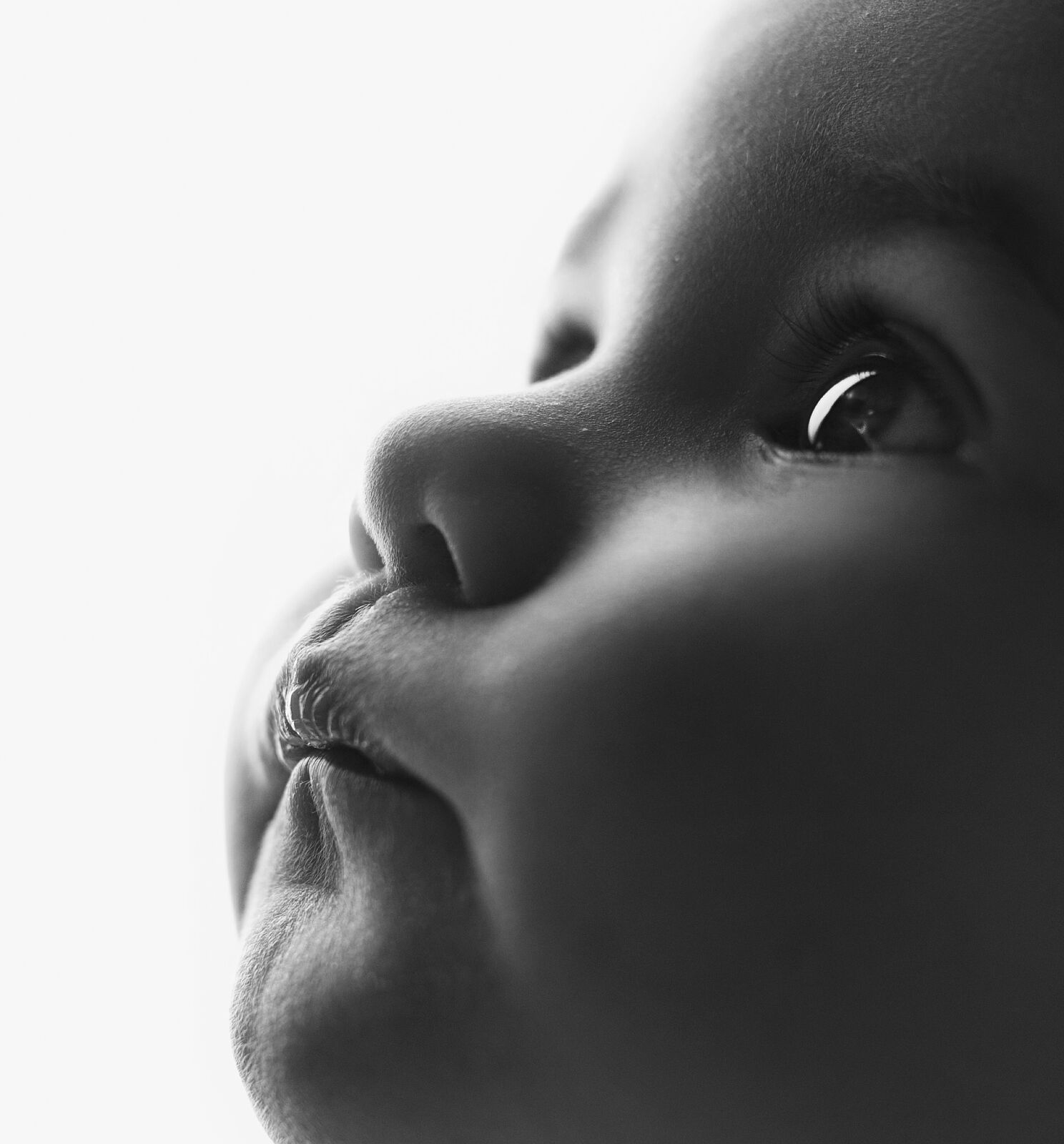 Bea Herdi Fotografía - dsc_6699-2copia-ts20260130214525576093.jpg