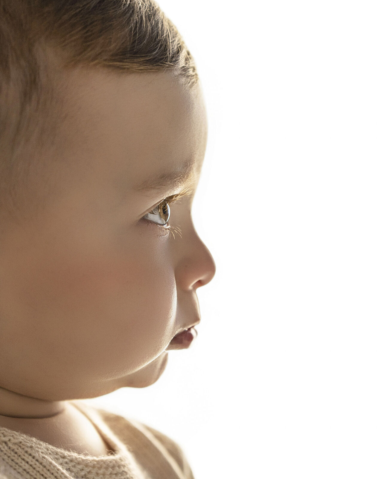 Bea Herdi Fotografía - pdsc_3832-ts20260125092711222357.jpg