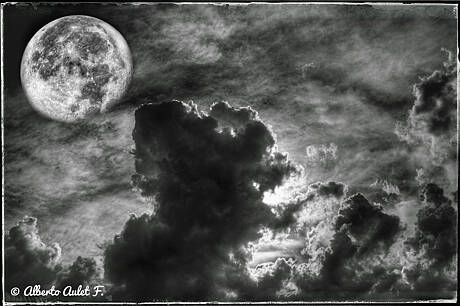 IMG_5668