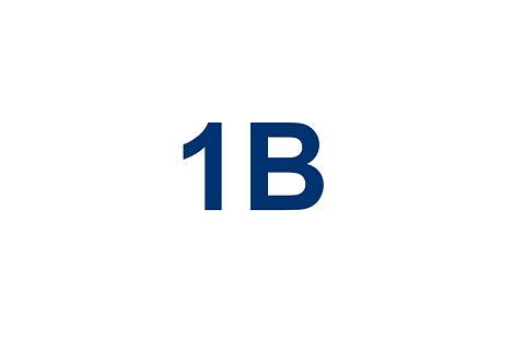 1B