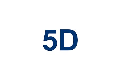 5D