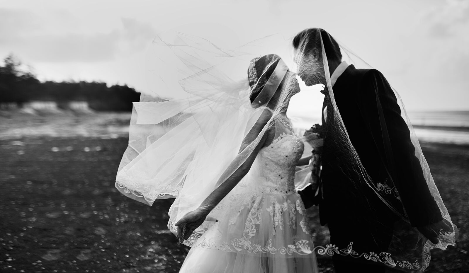 Victor Toribio Fotografía - hisu-lee-ftw8adj5igs-unsplash-ts20260507132018692995.jpg