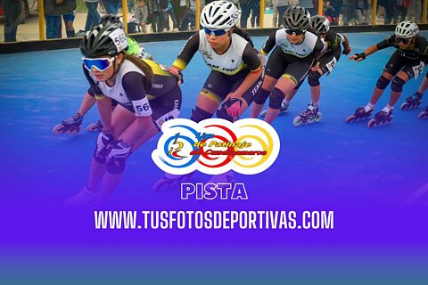 Pista
