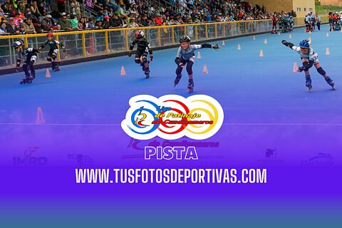 Pista