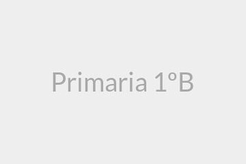 Primaria 1ºB