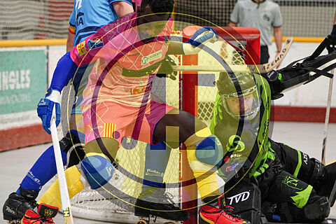 Recam Làser Caldes vs Hockey Rivas