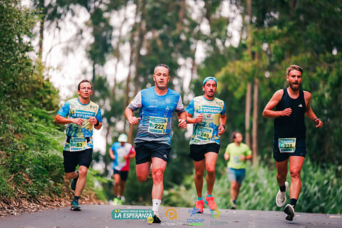 Camino Guillén - Zamorano