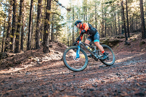 3. Ramón El Caminero