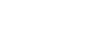 CanaryActionpix