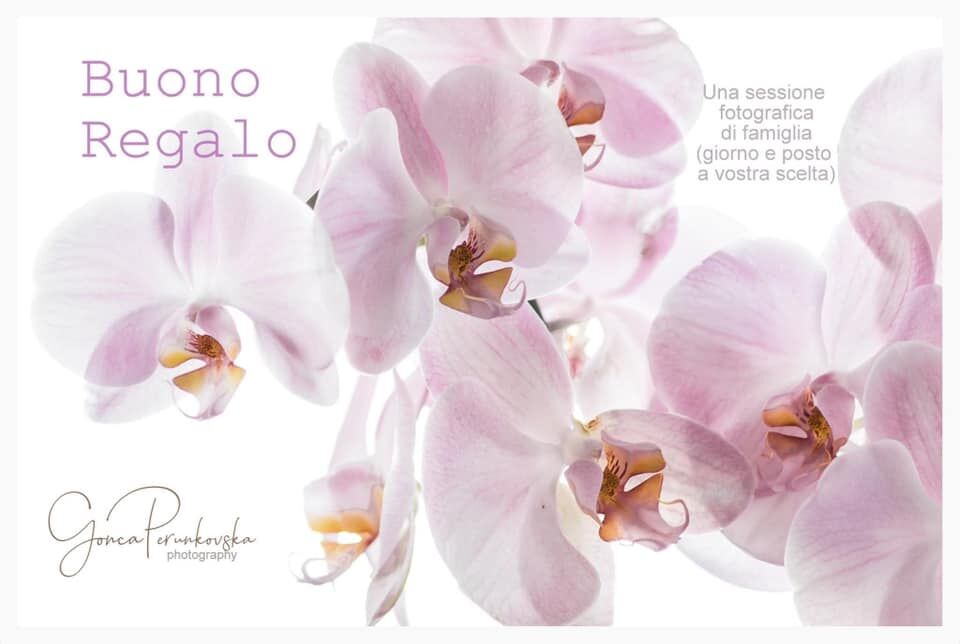 - img_659ef25405f465-16218780.jpeg