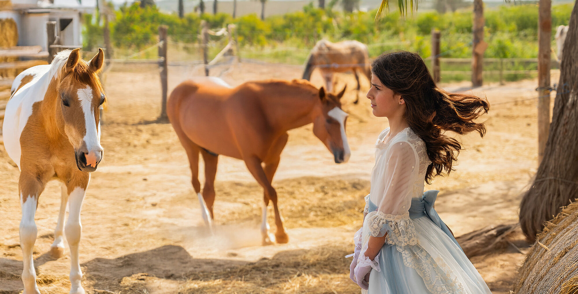 Fotos de comunión con caballo