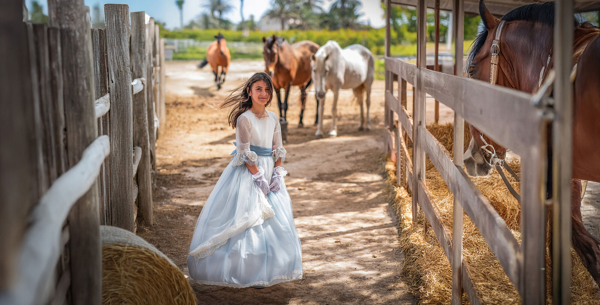 Fotos de comunión con caballo