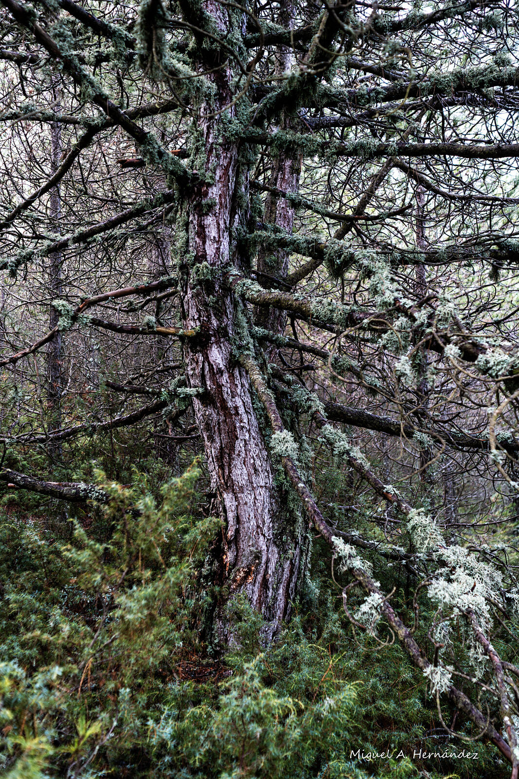 Fotomágina - _dsc6481-ts20251224085605995366.jpg