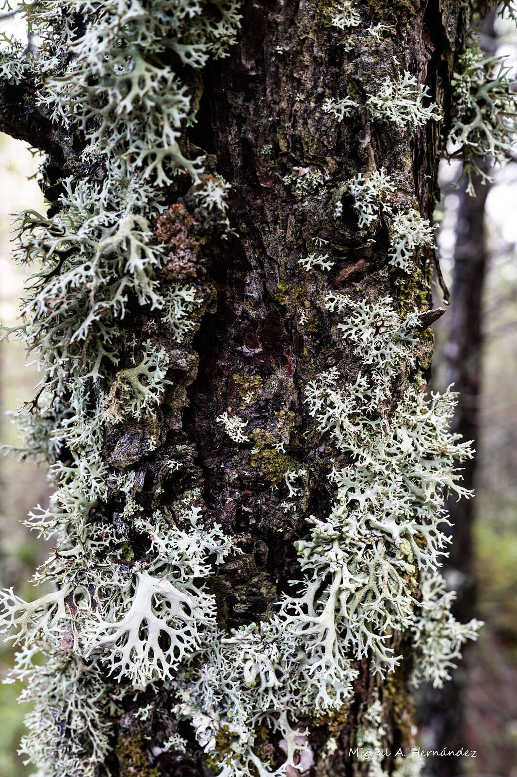 Fotomágina - _dsc6486-ts20251224090308265171.jpg