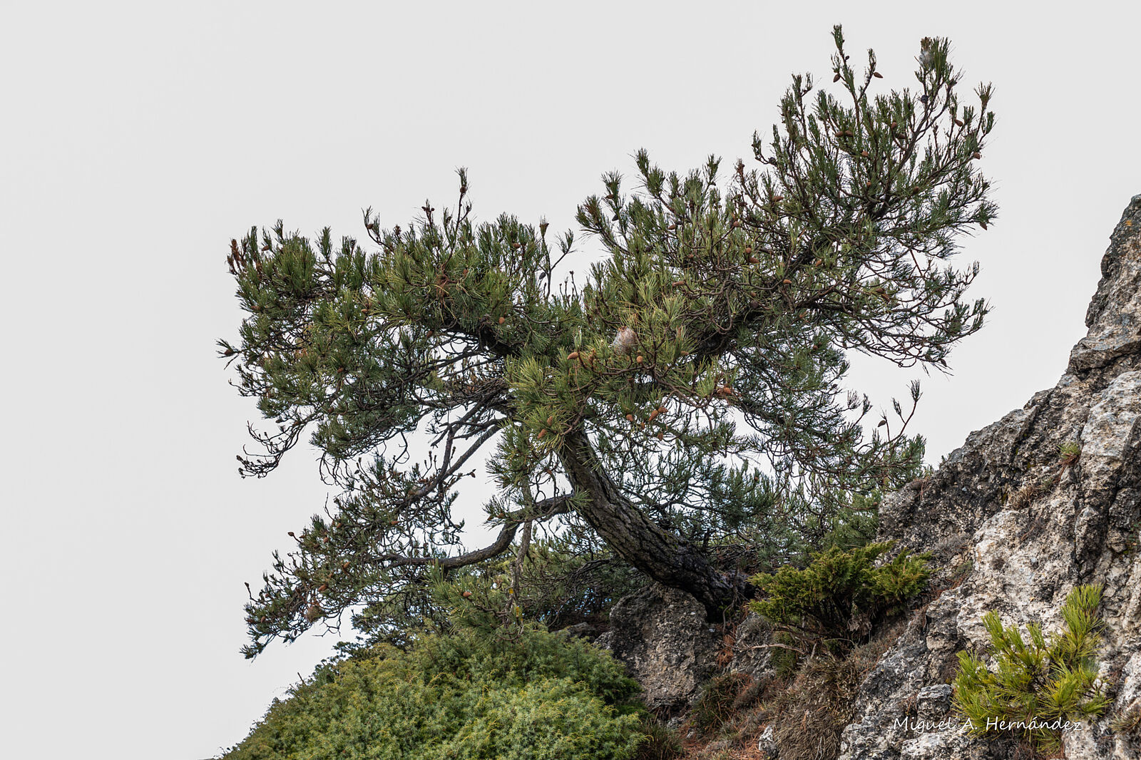 Fotomágina - _dsc6494-ts20251224090341572053.jpg