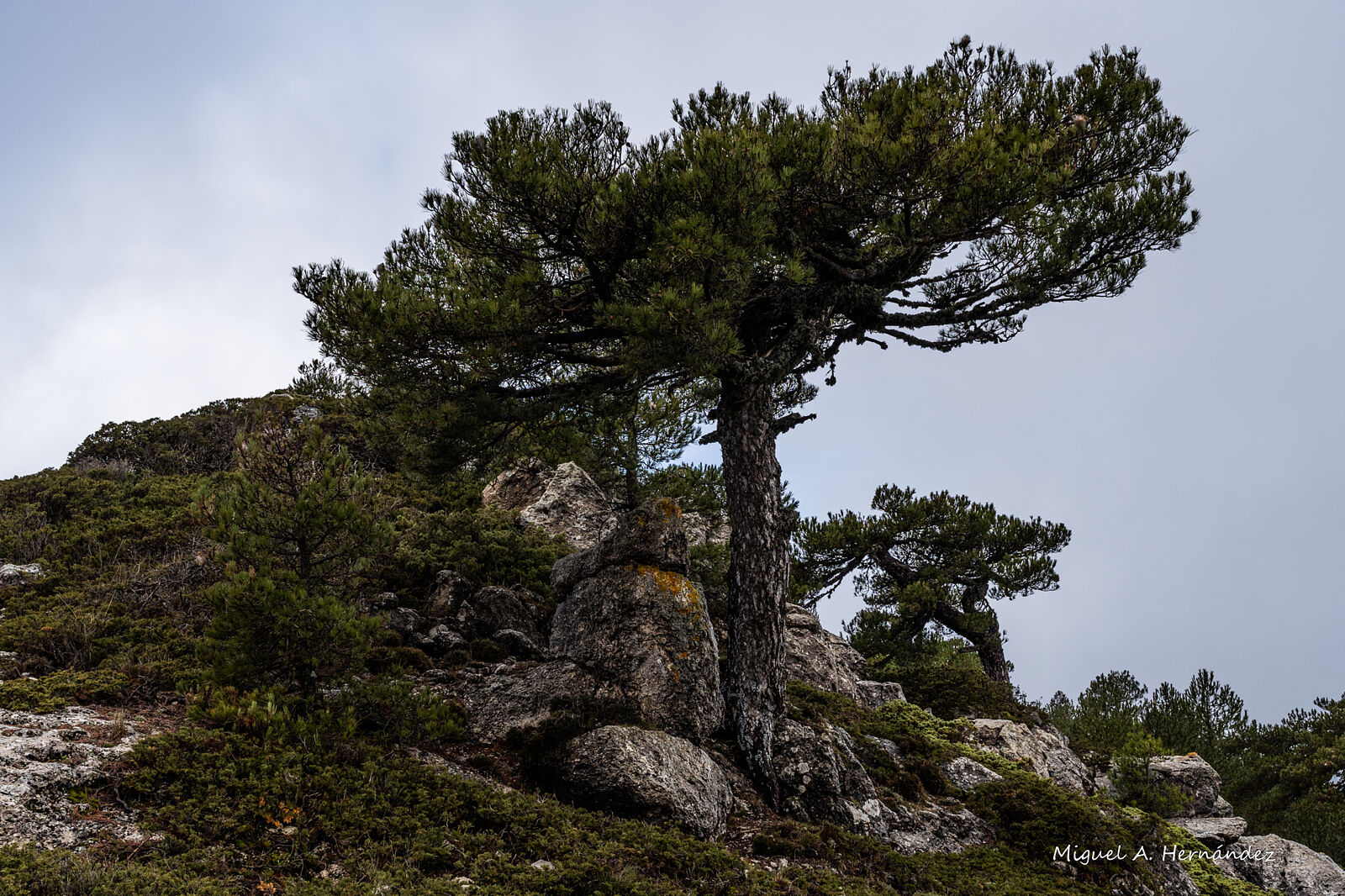 Fotomágina - _dsc6499-ts20251224090425605284.jpg
