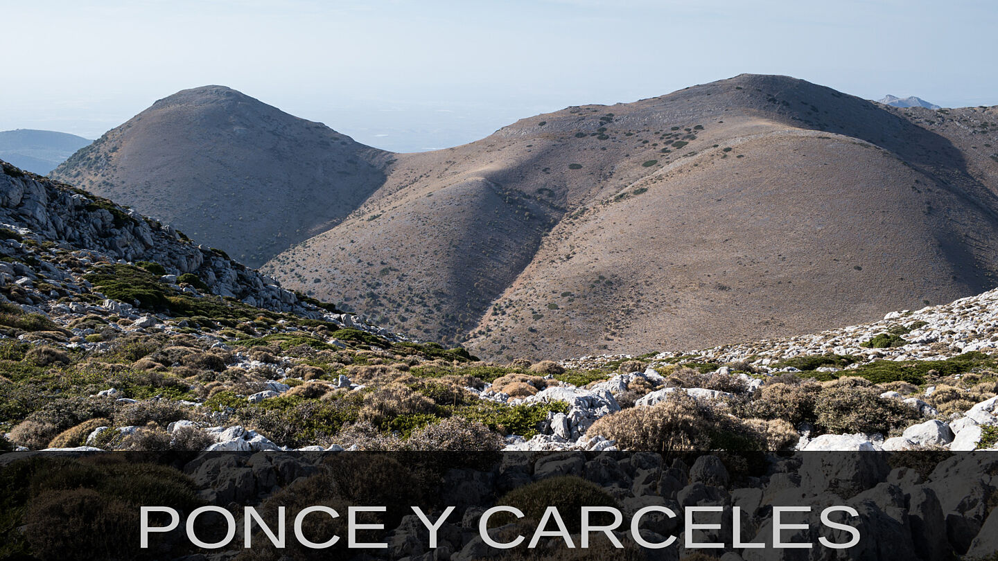 Ponce y Cárceles