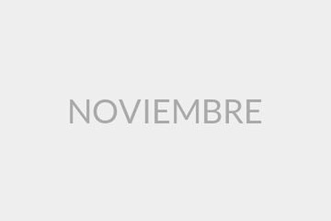 NOVIEMBRE