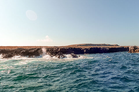 Marietas Islands 02/01/2026