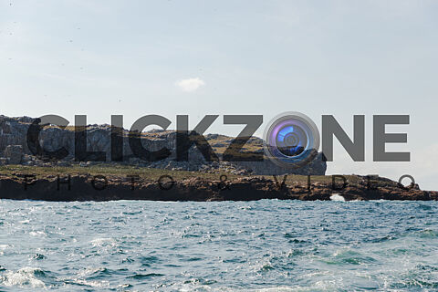 jo 09-01-26 Marietas 