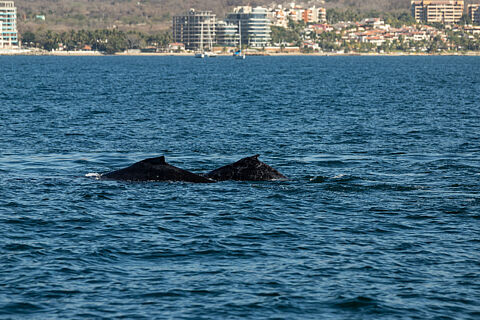 02-20-26 Friendship Week 2026