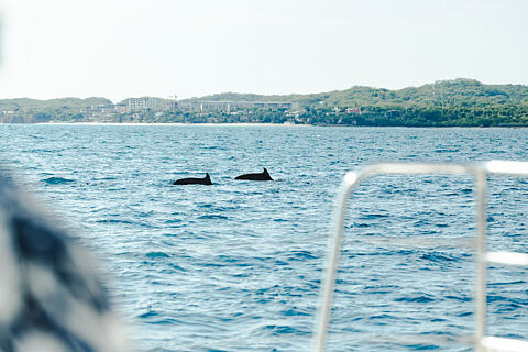 -CATAMARAN 30-07-26