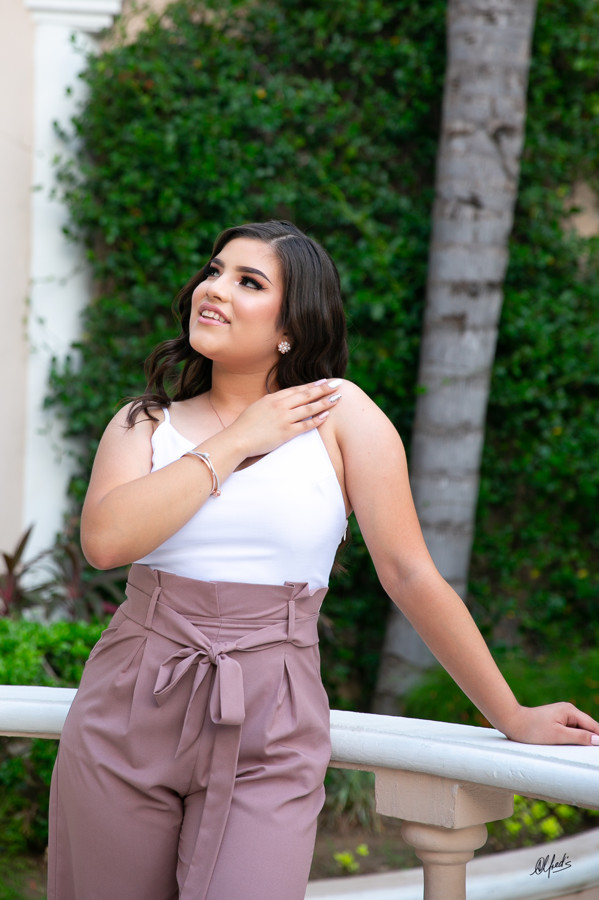 Alfred&#39;s PhotoLive - 4418