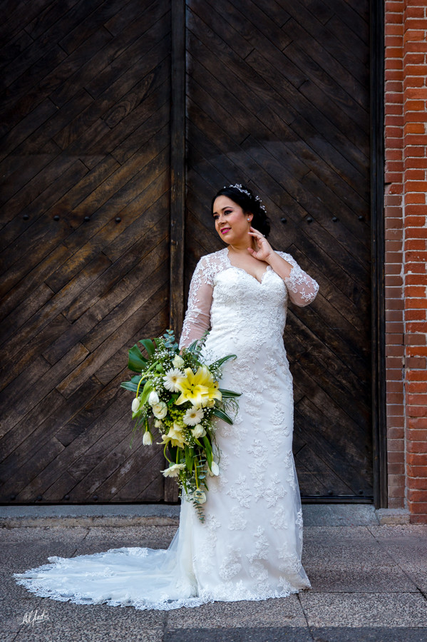 Alfred's PhotoLive - 9773-2