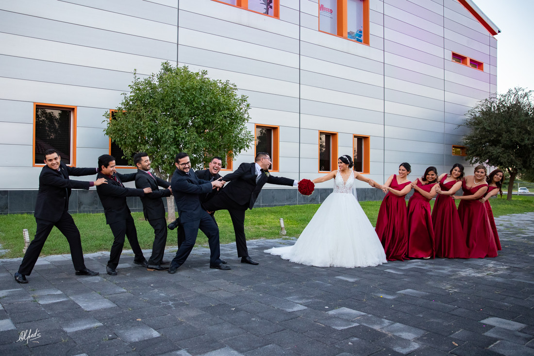 Alfred's PhotoLive - 0124