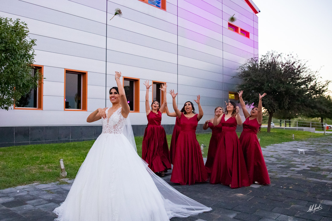 Alfred's PhotoLive - 0203