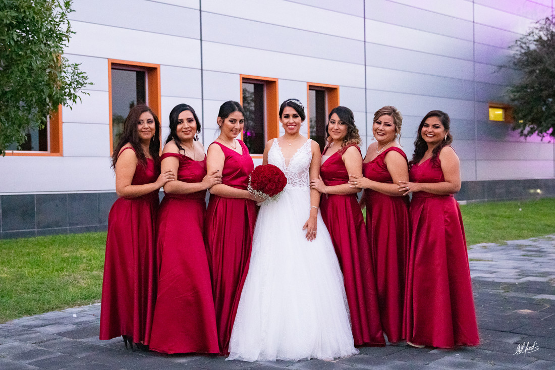 Alfred's PhotoLive - 0220