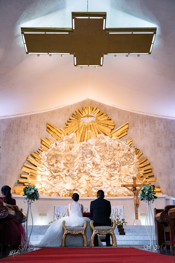 Alfred's PhotoLive - 9408