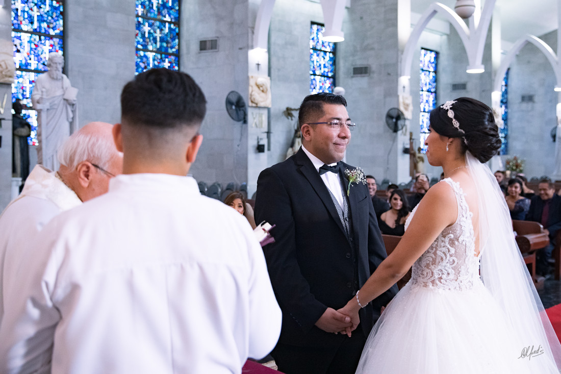 Alfred's PhotoLive - 9460