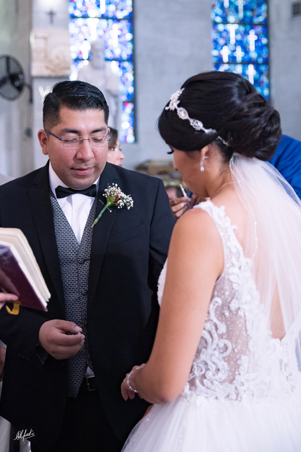 Alfred's PhotoLive - 9491