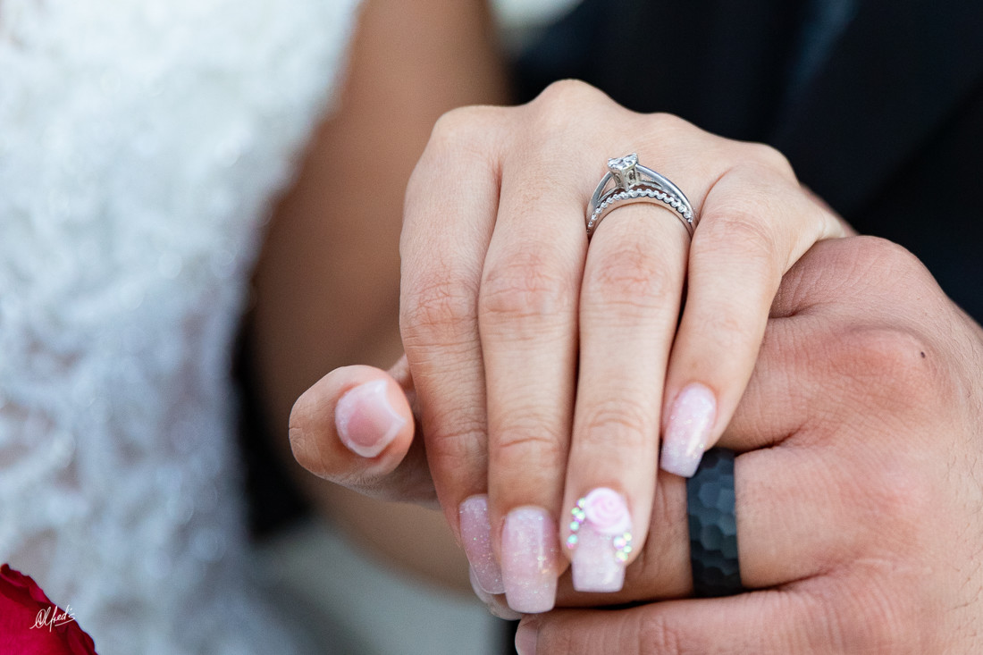 Alfred's PhotoLive - 9976