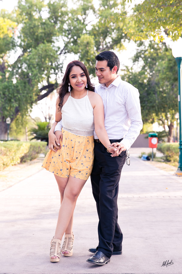 Alfred&#39;s PhotoLive - 7764-3