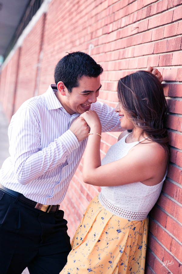 Alfred&#39;s PhotoLive - 8277