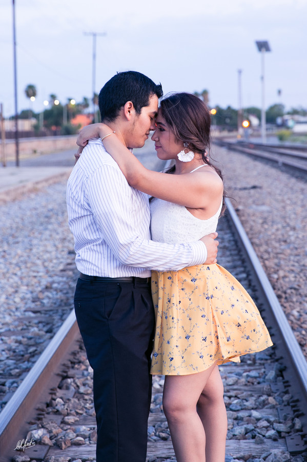 Alfred&#39;s PhotoLive - 8338-2