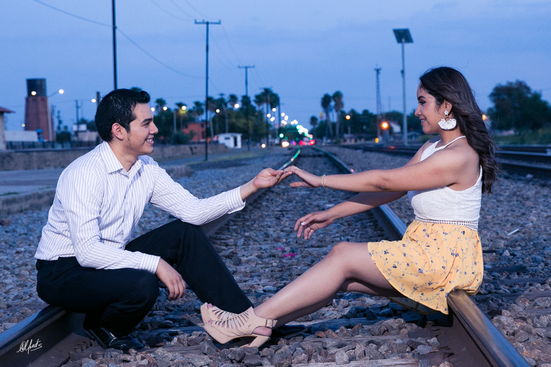 Alfred&#39;s PhotoLive - 8400-2