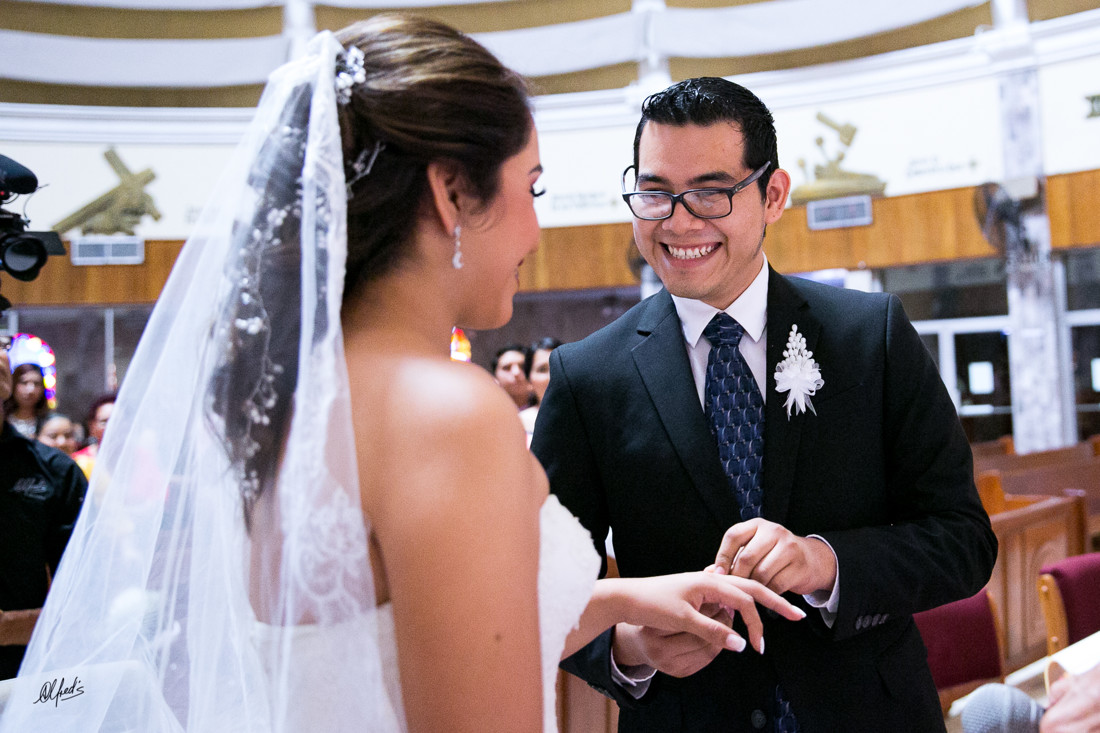 Alfred&#39;s PhotoLive - 8638