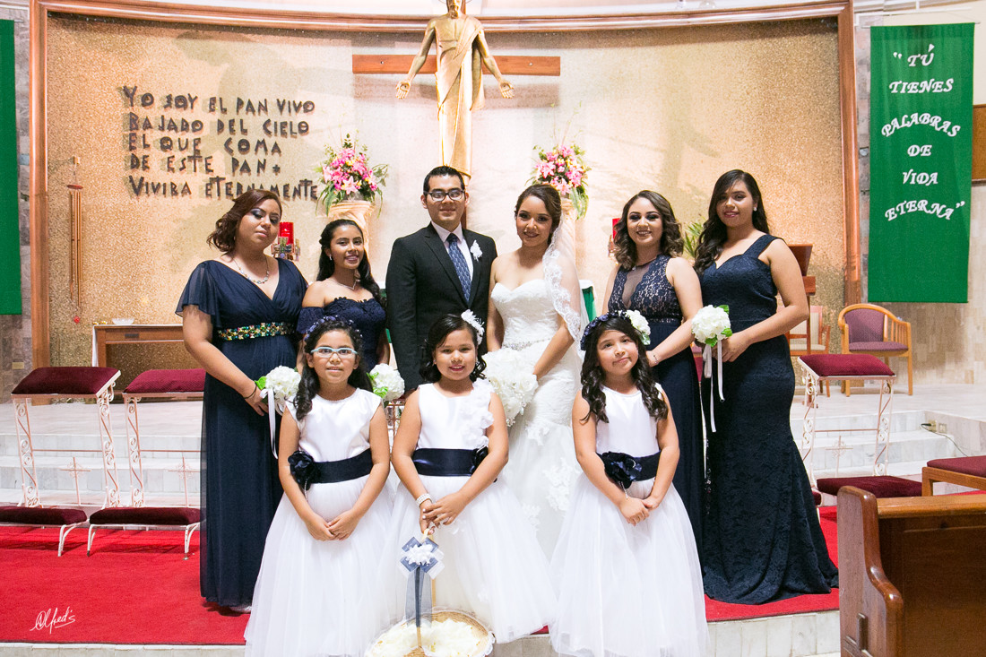 Alfred&#39;s PhotoLive - 8770