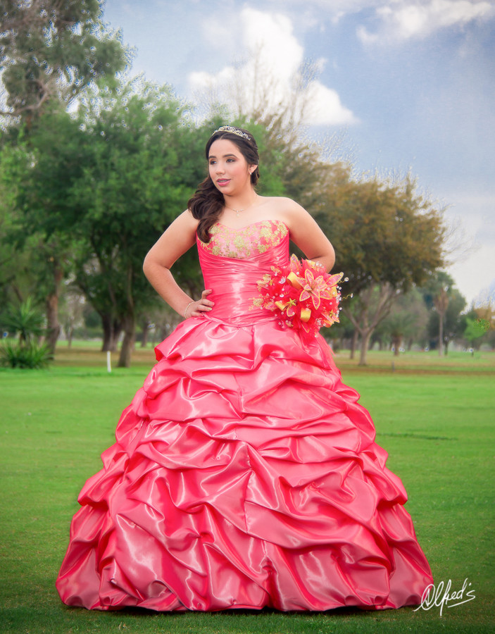 Alfred&#39;s PhotoLive - 0050