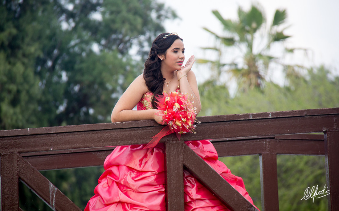 Alfred&#39;s PhotoLive - 0081