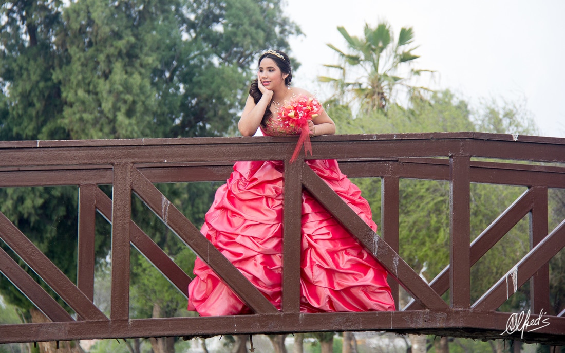 Alfred&#39;s PhotoLive - 0082