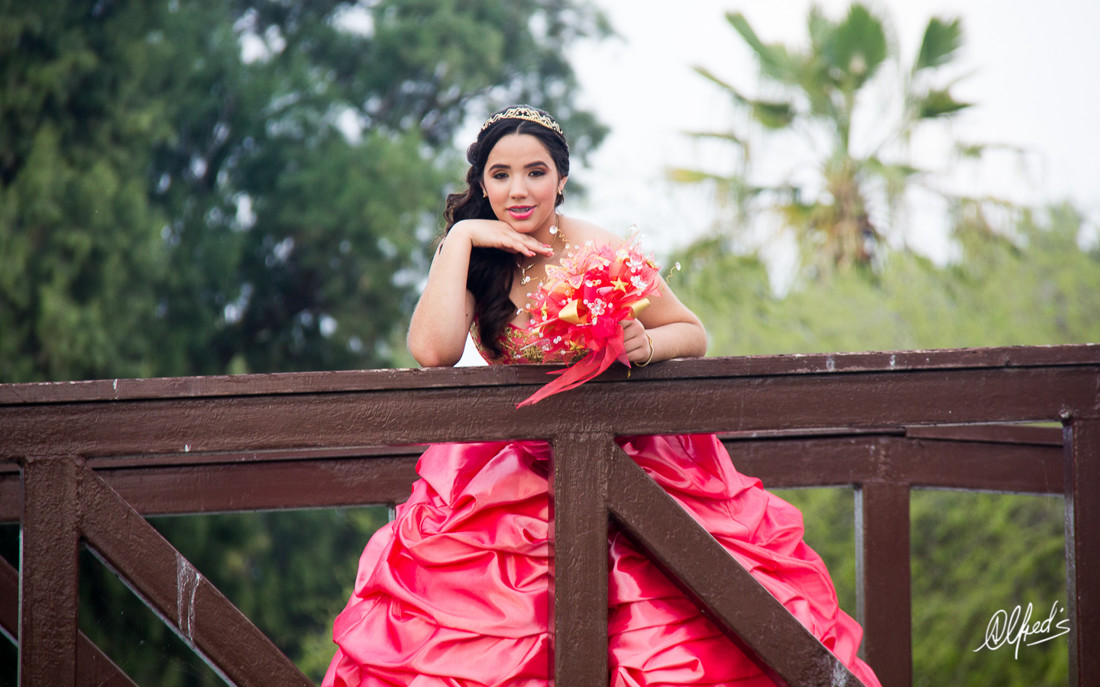 Alfred&#39;s PhotoLive - 0083