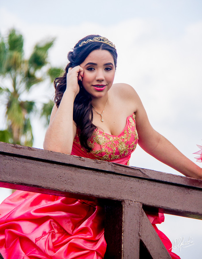 Alfred&#39;s PhotoLive - 0090