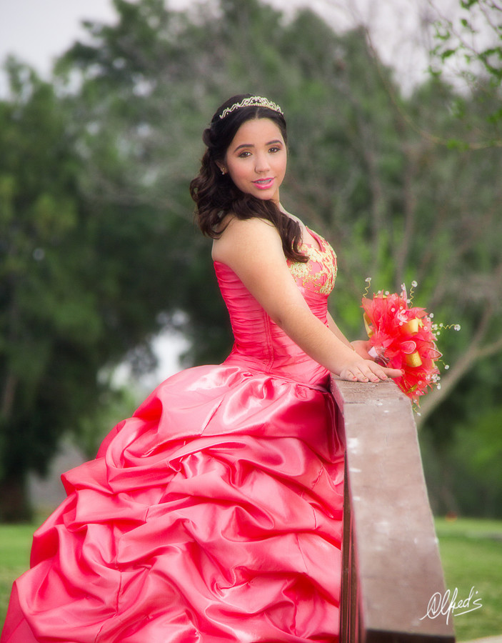 Alfred&#39;s PhotoLive - 0096